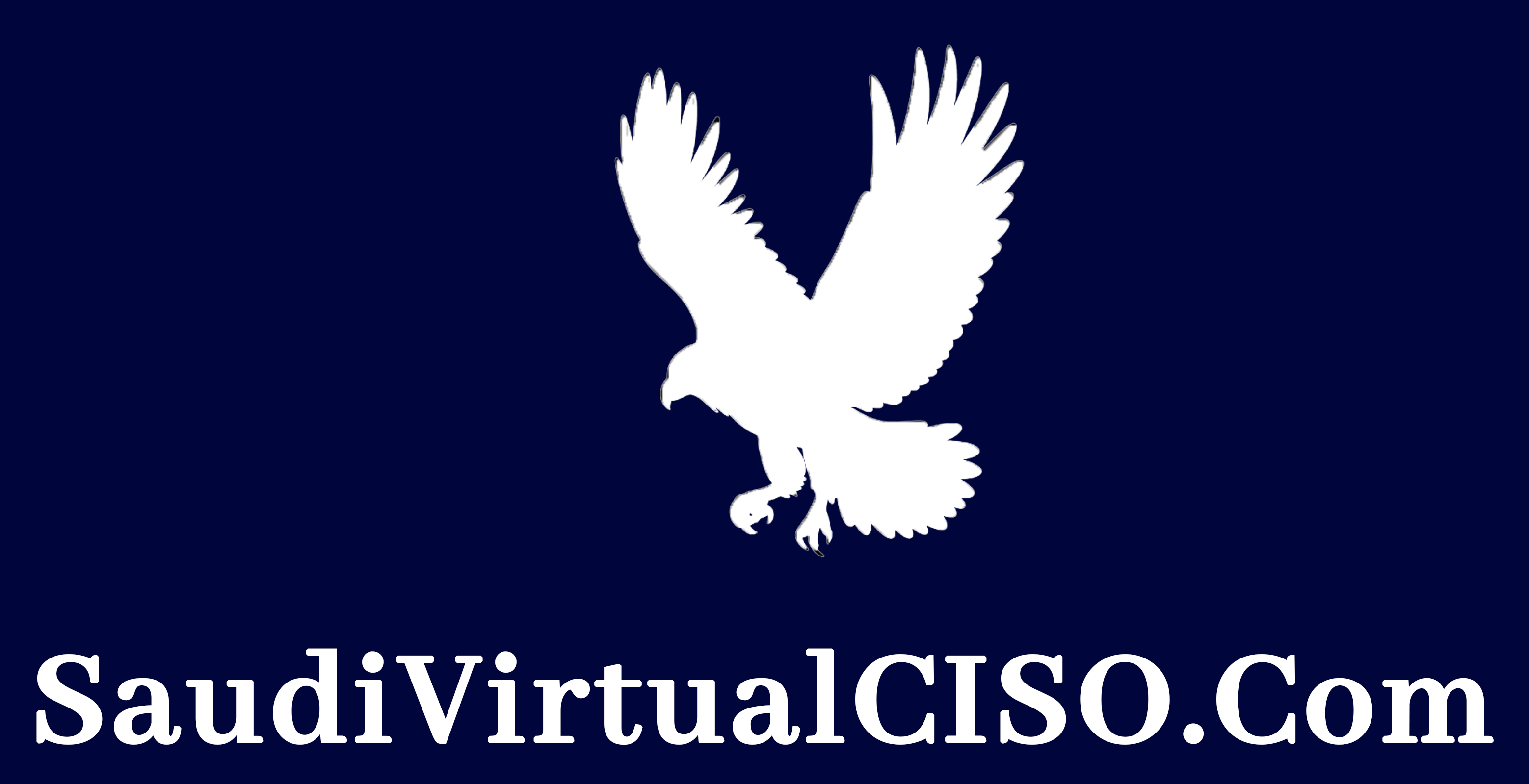 SaudiVirtualCiso.com